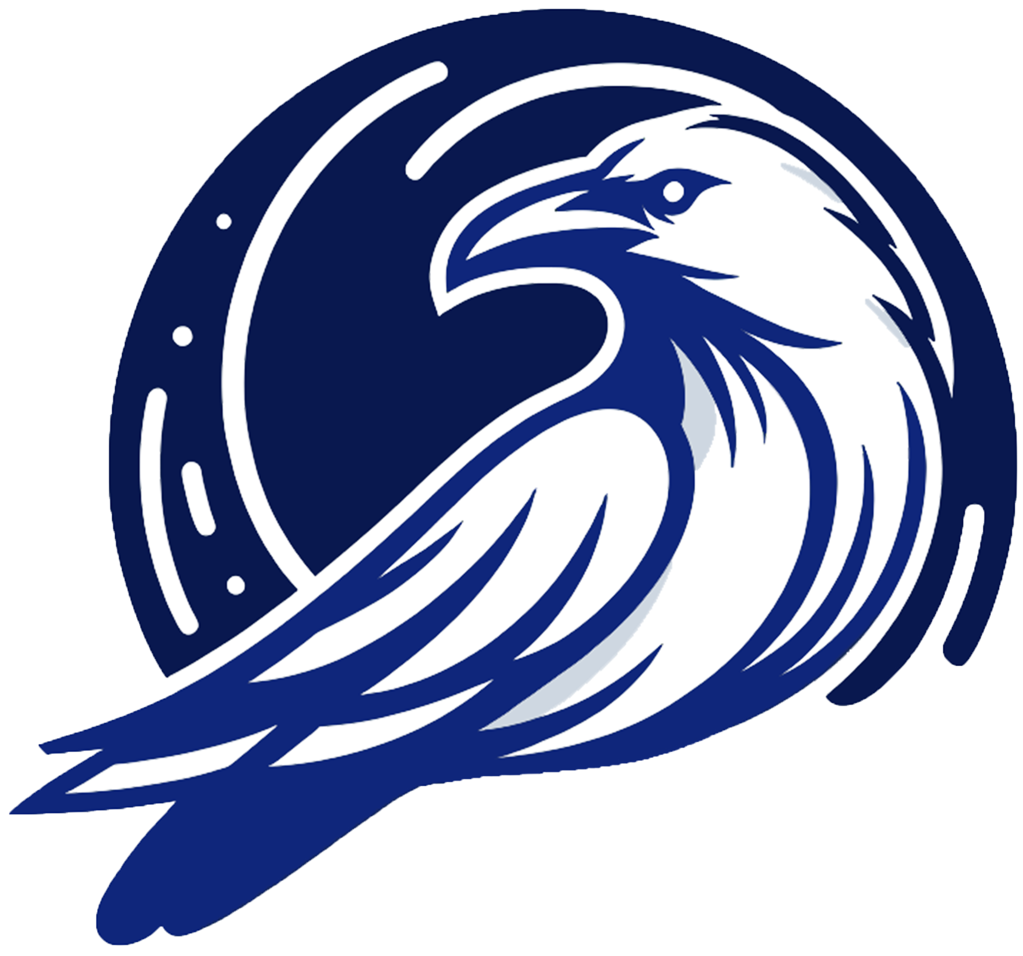 White Raven Logo